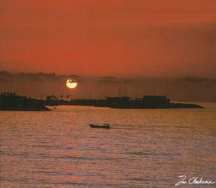 free ecards, happy new year card, seasons greetings, lebanon free ecards, send card to friends, gree